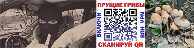 Галлюциногенные грибы мухоморы OMG маркетплейс Карталы