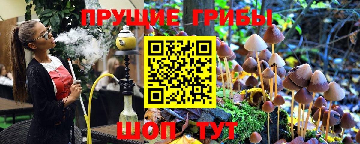 Псилоцибиновые грибы мицелий  Вход с VPN  Карталы  Псилоцибиновые грибы мицелий 