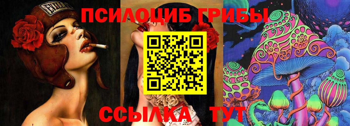 Псилоцибиновые грибы Psilocybe Карталы